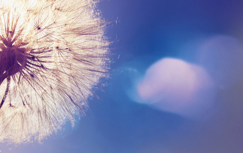 凯时尊龙人生就是博·Z6(中国)首页官网