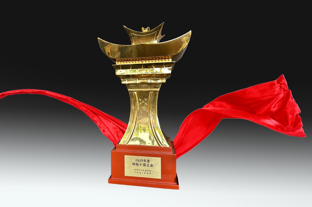 2025年度兴化市乃岚十强企业